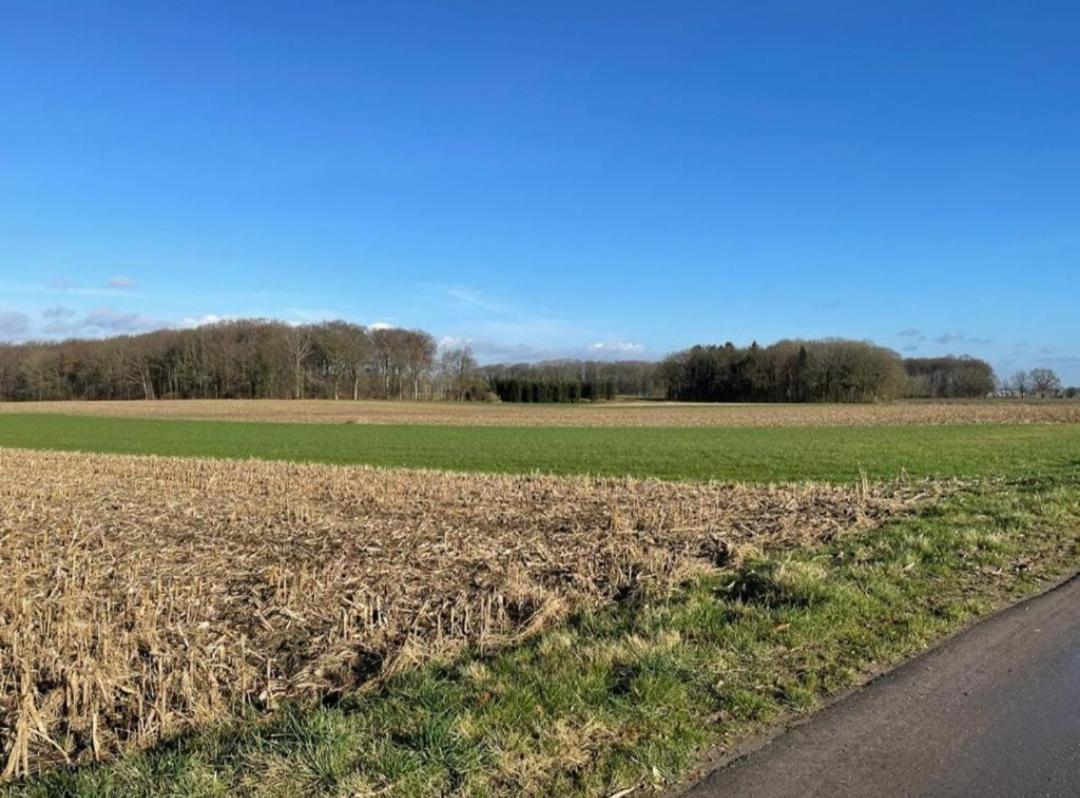 Het Damhert Kortenaken Bagian luar foto